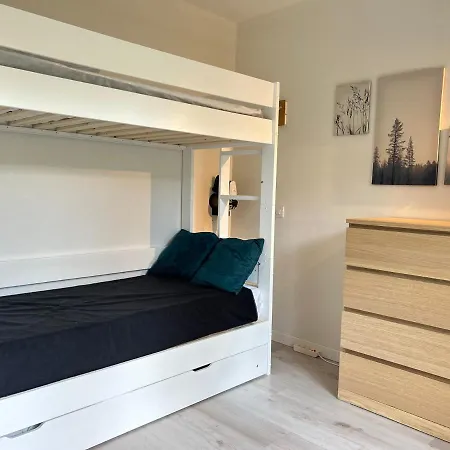 Renove Aux Gets, Proche Pistes Et Lac, Avec Parking, Navettes Gratuites Et Accepte Animaux - Fr-1-623-266 * لي جيه